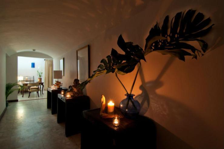 Mynt Retreat Bed & Breakfast Μοντέγκο Μπέυ Εξωτερικό φωτογραφία